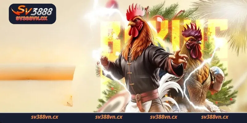Những lợi ích nổi bật khi tham gia đá gà trực tiếp tại Sv388